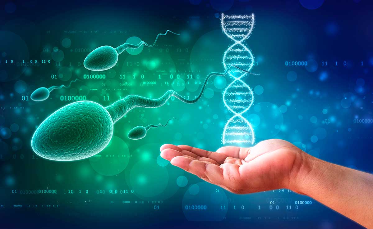 PsicoActiva.com: Psicología, test y ocio Inteligente