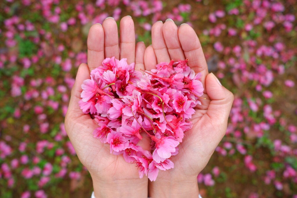 Son samanın genellikle bir gözyaşı olduğunu temsil etmek için çiçek kalpli el