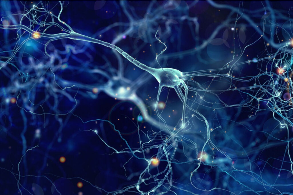 Beyin ve evren arasındaki benzerliği temsil eden beyindeki nöronlar