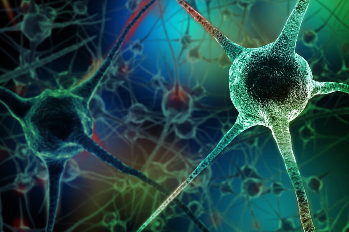 Nöronları öldüren 7 alışkanlık