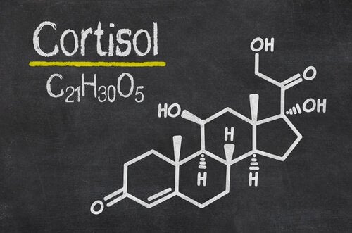 Kortizol, stres hormonu