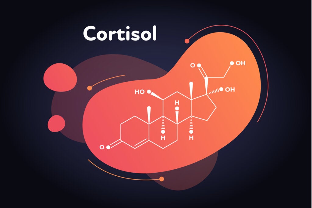 kortizol formülü
