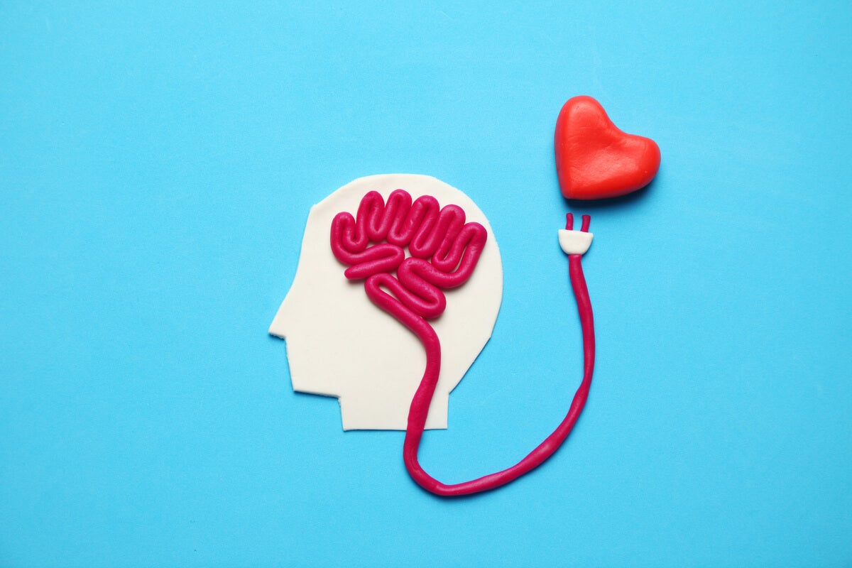 ¿Cómo identificar a una persona con inteligencia emocional?