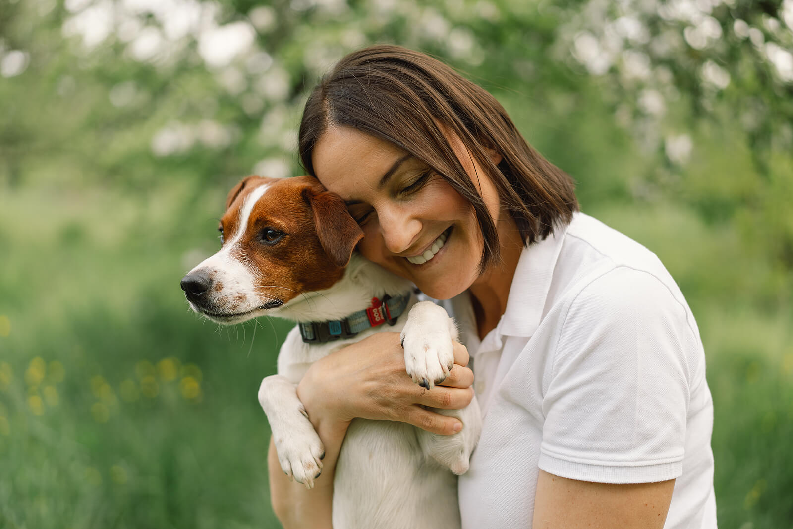 Köpekleri hayal etmek: bu ne anlama geliyor?