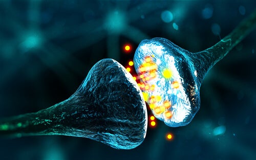 Ana nörotransmitterler: Onlardan yoksun olduğumuzda ne olur?