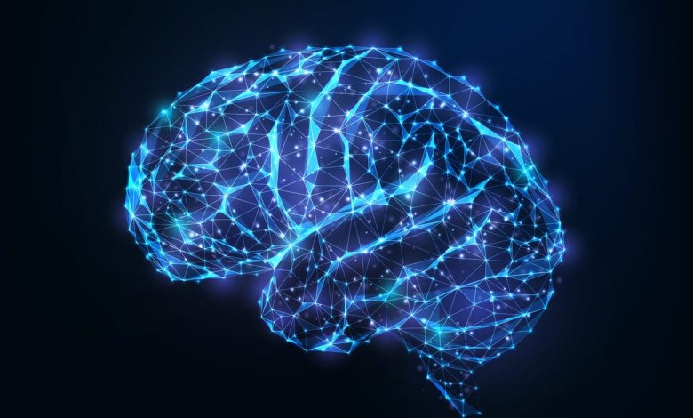 Beyin anti-ödül devresi: nedir?