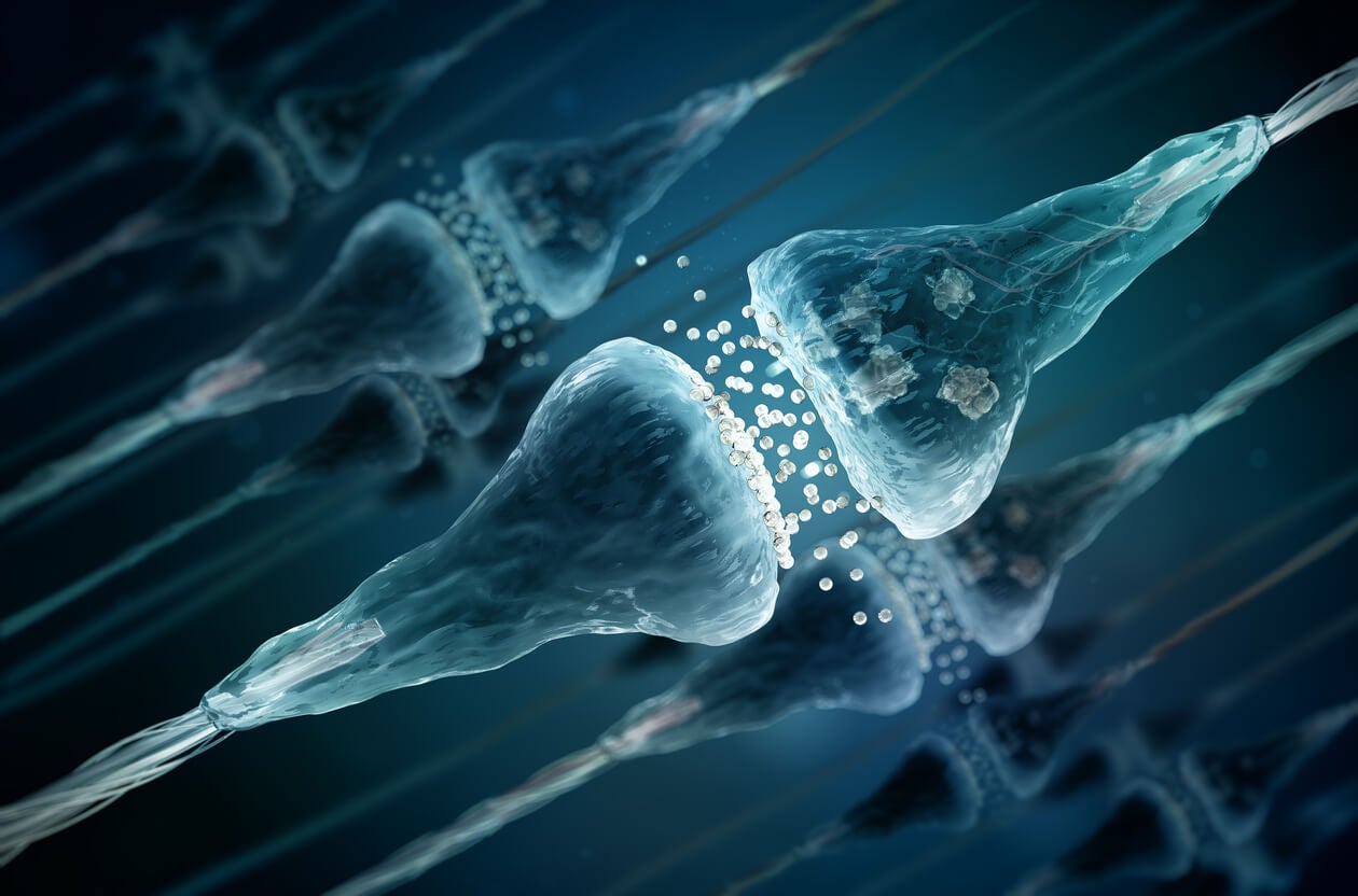 Neurotransmisores: tipos y funcionamiento