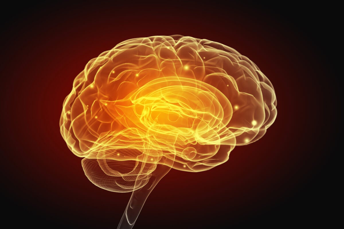 Bencil davranışlarla beyin böyle değişir