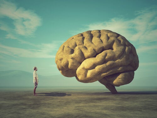 Ahlaki beyin: etiğin ve insani değerlerin sinirsel temelleri
