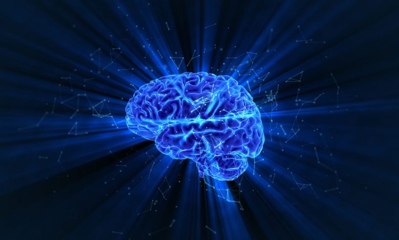 Beyinmerkezcilik, hayattaki her şey “nöro” değildir