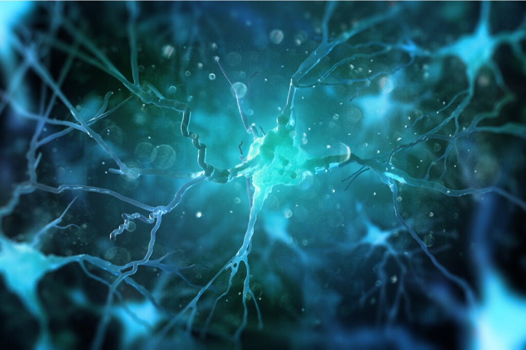 beyin ve evren arasındaki benzerlikleri simüle etmek için nöral kök hücreler