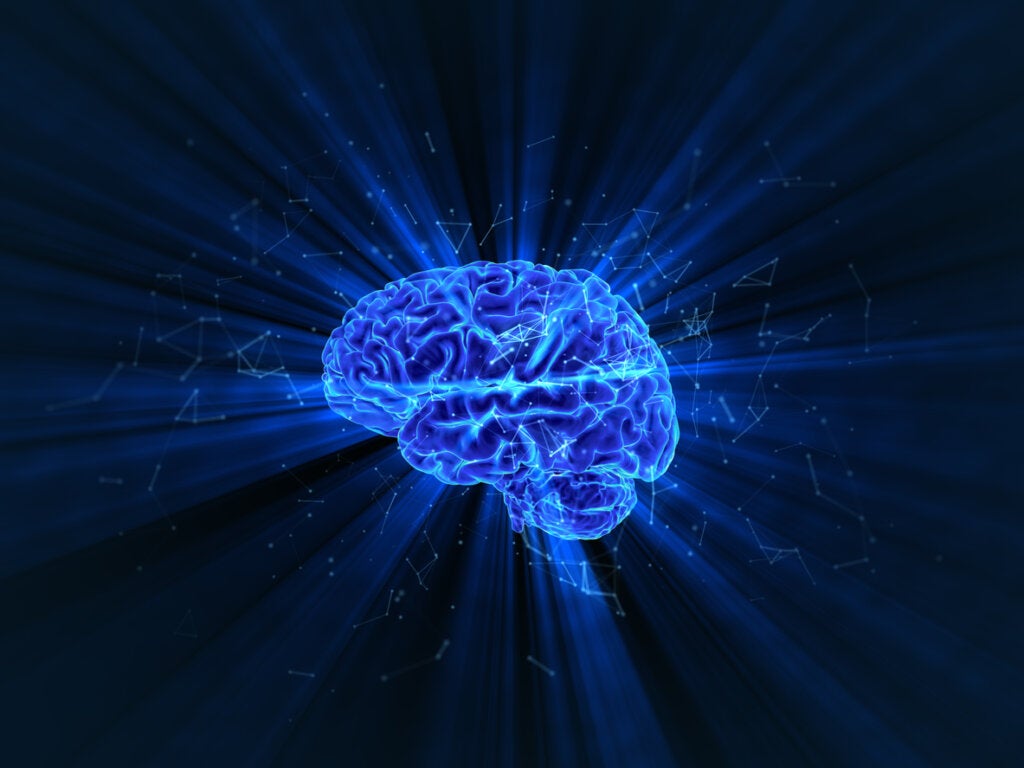 Zekanın sinirsel mimarisini simgeleyen mavi ışıklı beyin