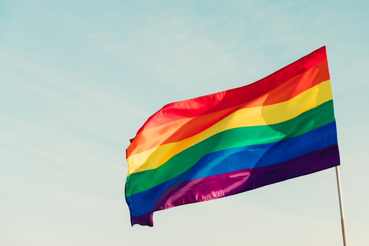 LGBTIQ+ hareketi: nelerden oluşur ve tarihi nedir?