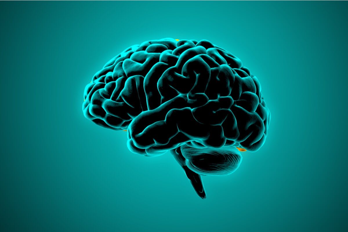 Bilime göre beyin hataları tahmin edebilir
