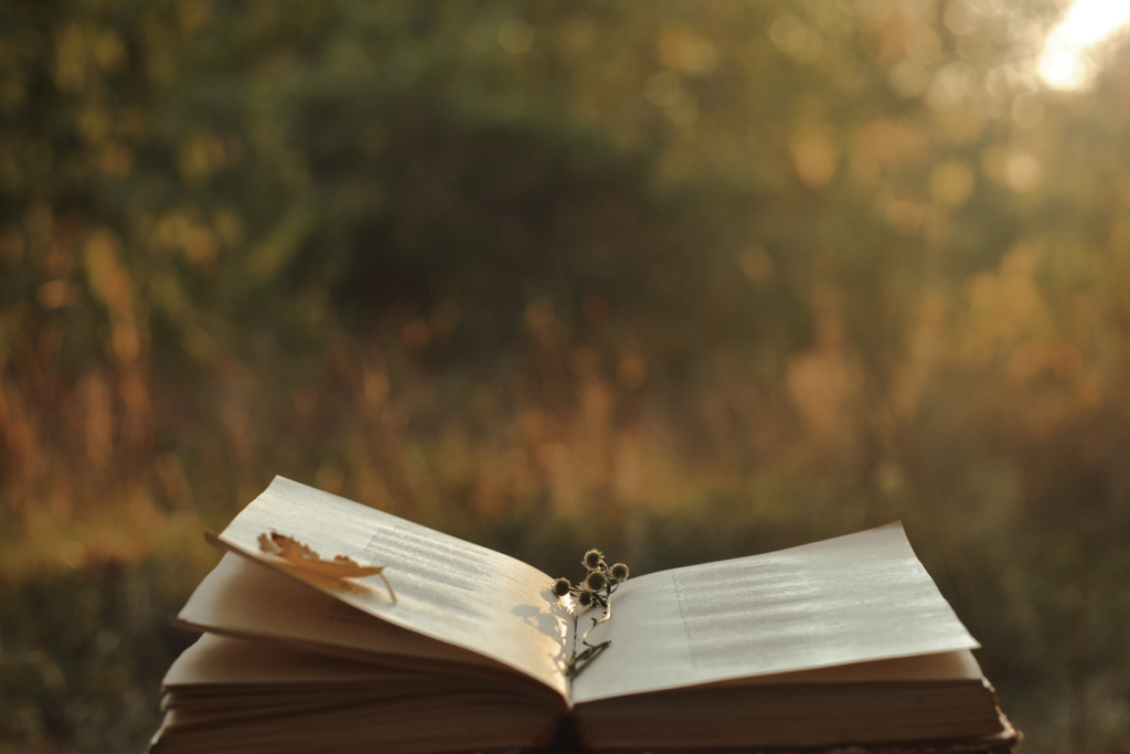 Açık kitap