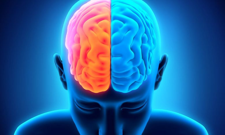 Sağ beyin yarım küresi yaralandığında ne olur?