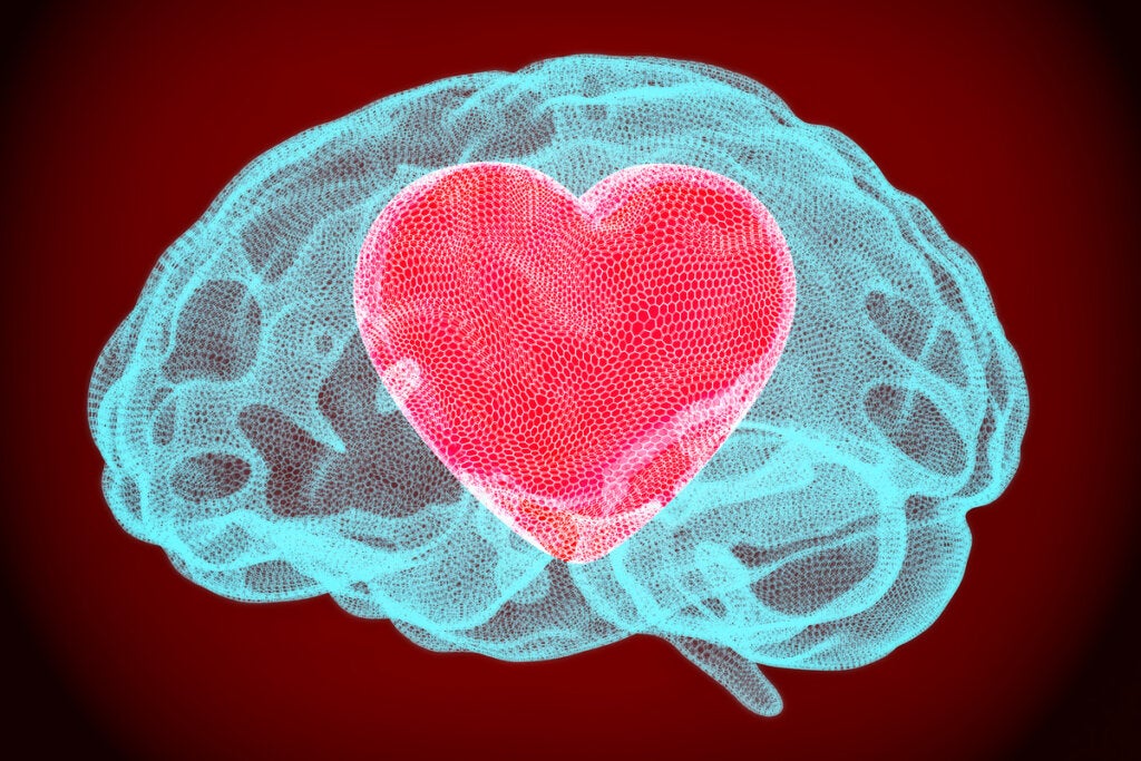 Duygusal zekanın gerçekten bir zeka türü olup olmadığını simgeleyen kalbi olan beyin