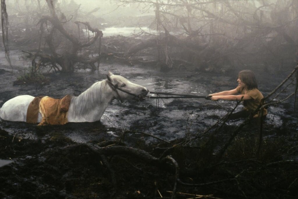 Atreyu ile batan at