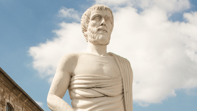 Aristoteles’in bilgi teorisi
