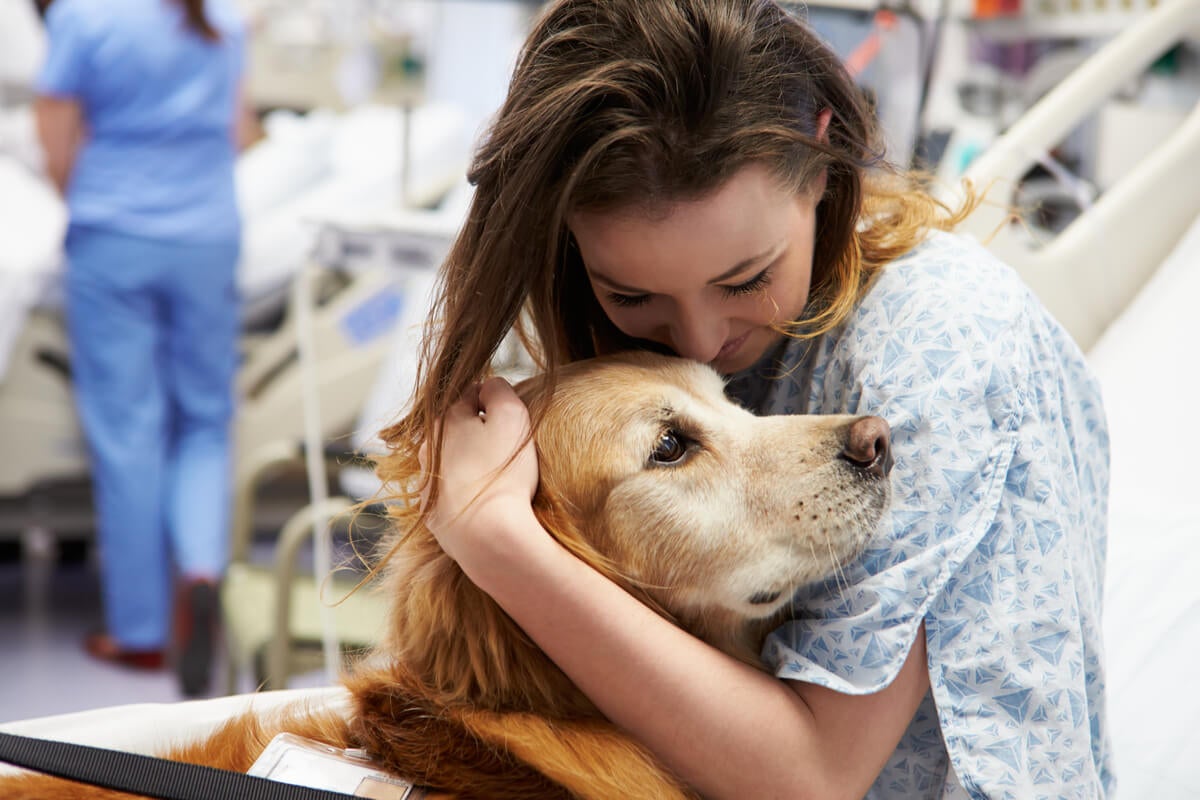 Evcil hayvan terapisi: nedir ve faydaları nelerdir