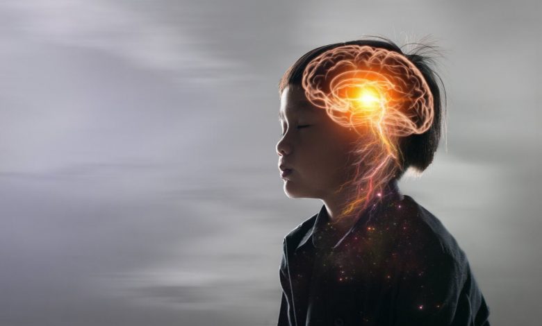 Bir çocuğun beynini anlamak: öğrenme organı
