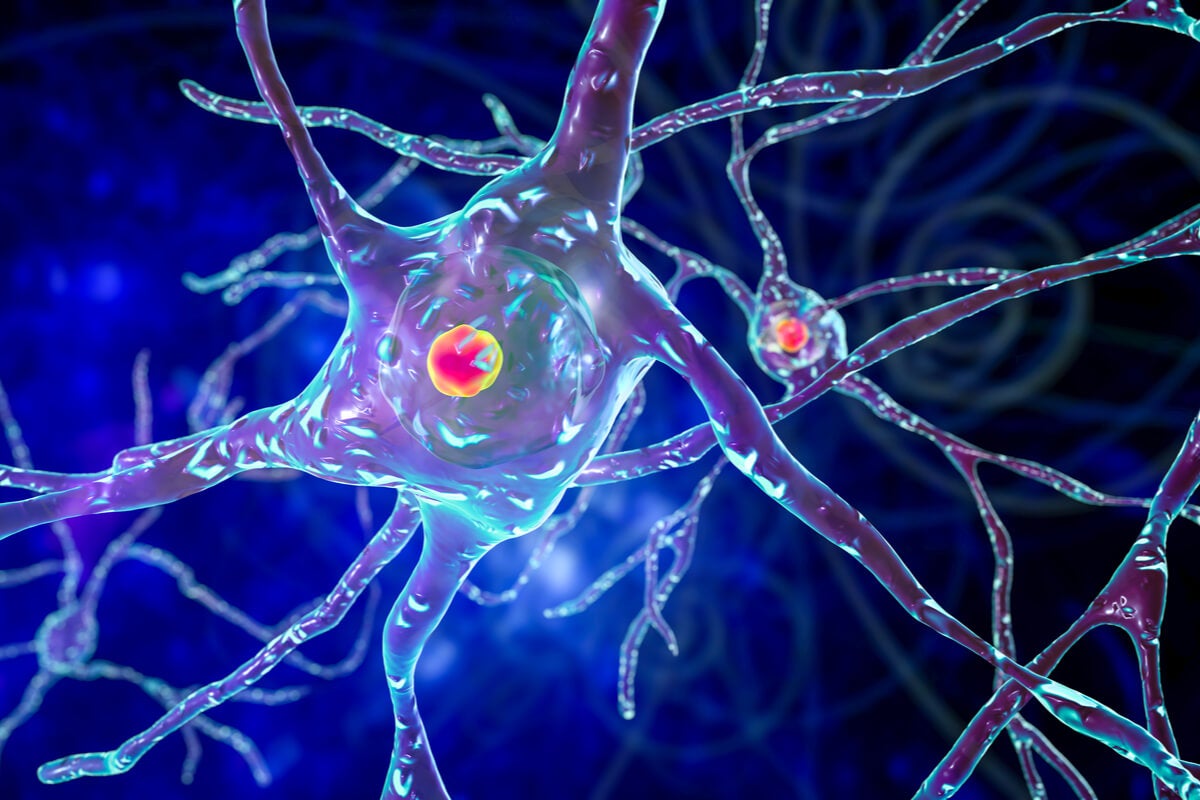 Conexiones neuronales del cerebro de una mujer simbolizando cuánto tiempo vive una neurona