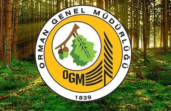 OGM’den Yeni Personel Alımı! Bazı Kadrolarda Bölüm Şartı Aranmıyor