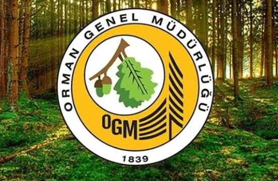 Orman Genel Müdürlüğünden Yeni Memur Alımı Duyurusu! Başvuru Yapabilecek Adaylar ve Şartlar Belli Oldu